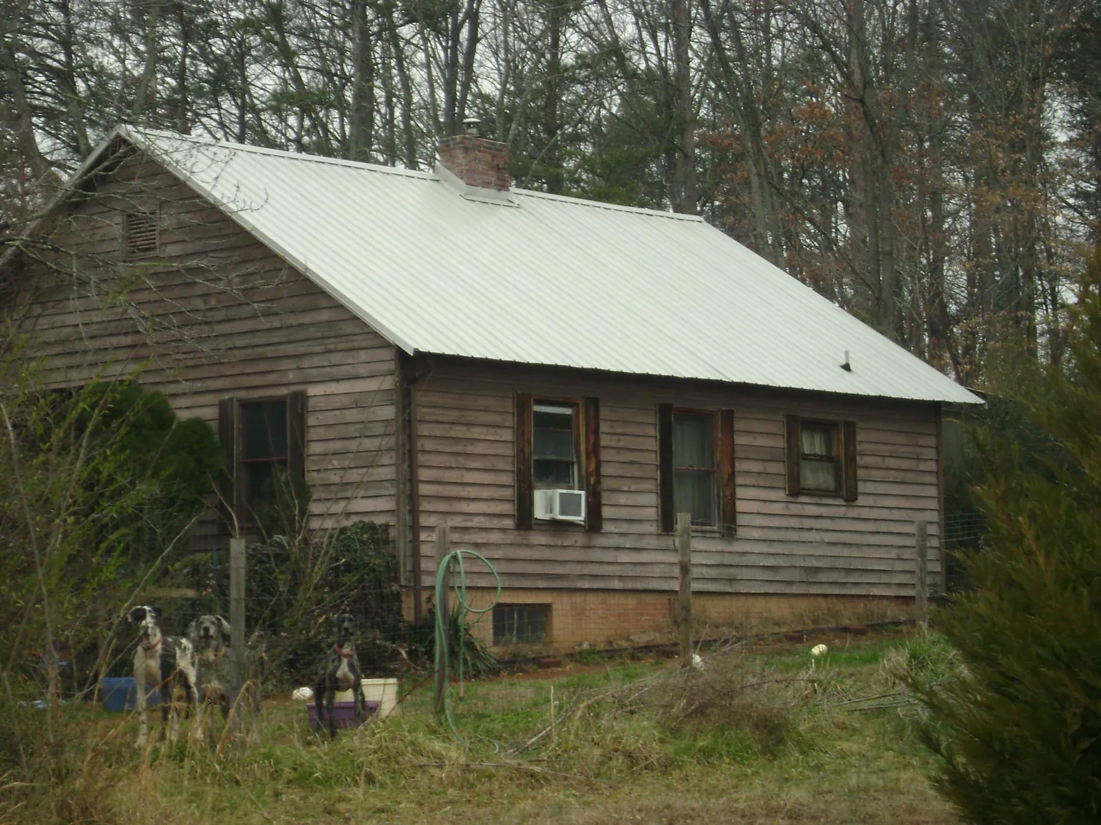 White metal roof on an old wood sided farmhouse, from a Metal Roof Installation job in Elma